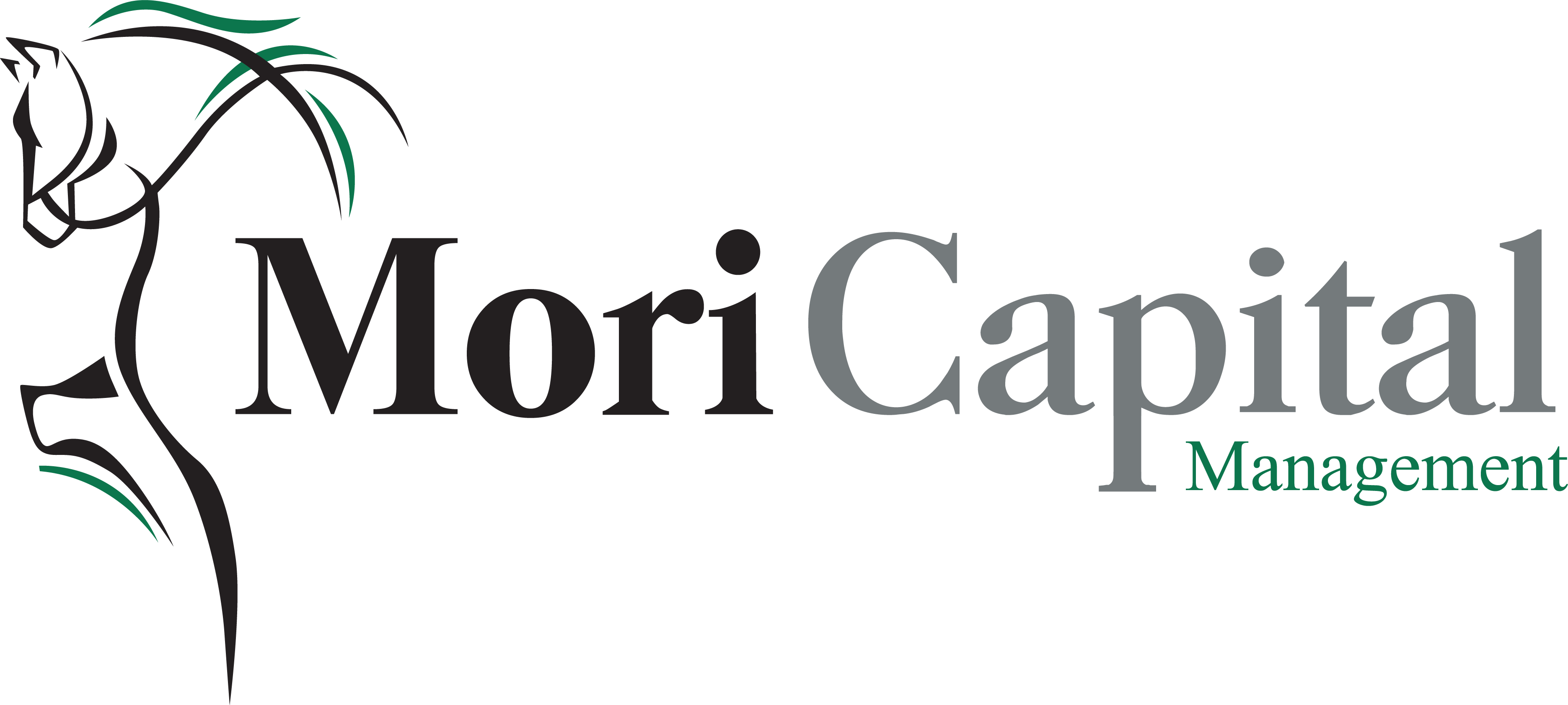 Mori Capital Management