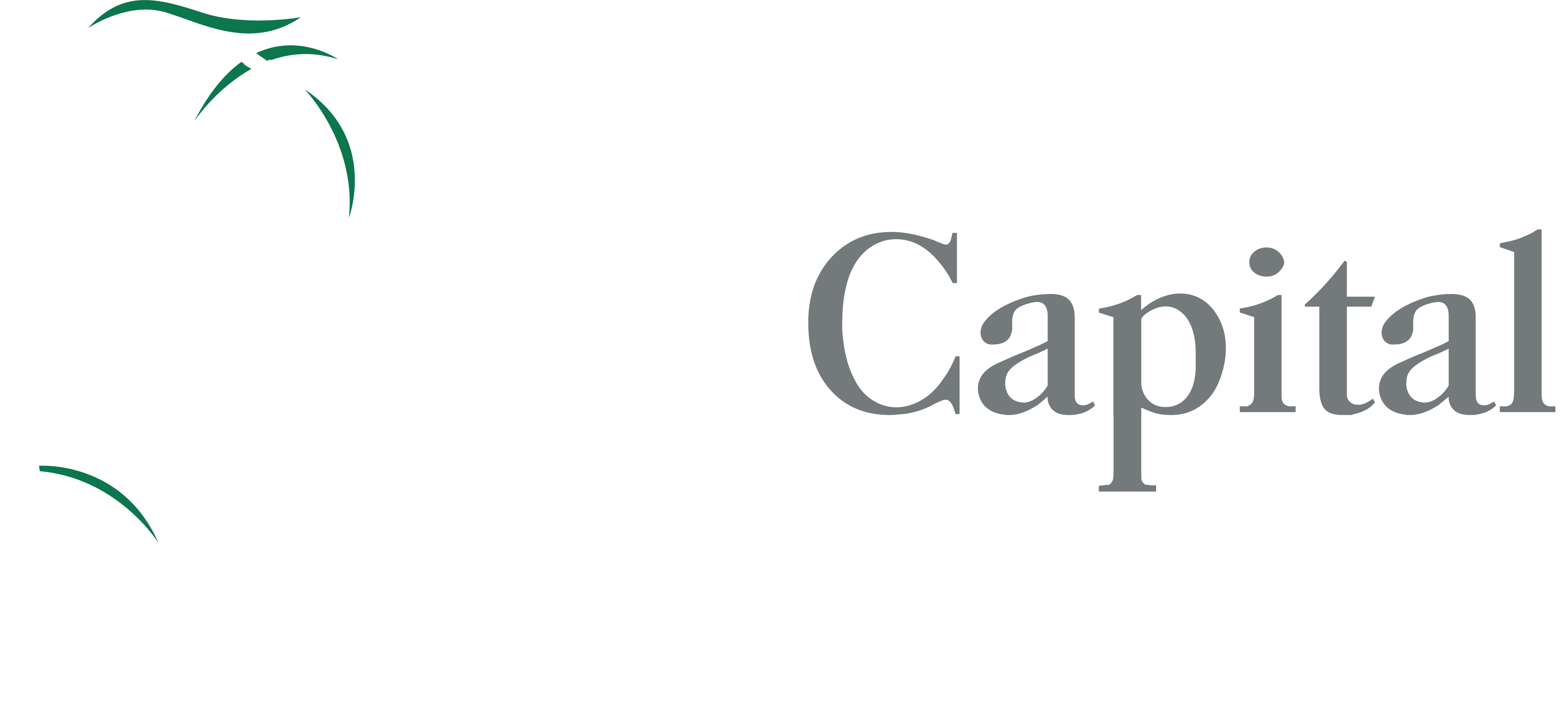 Mori Capital Management